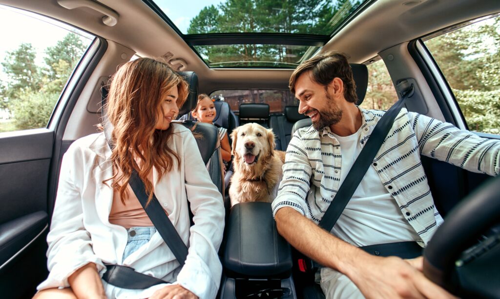 An image of a family and their dog in a car exploring their new neighbourhood.